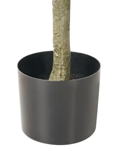Pianta artificiale FICUS TREE 160 cm Verde