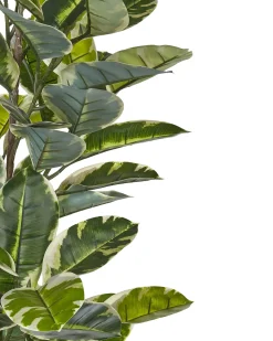 Pianta artificiale FICUS ELASTICA 160 cm Verde