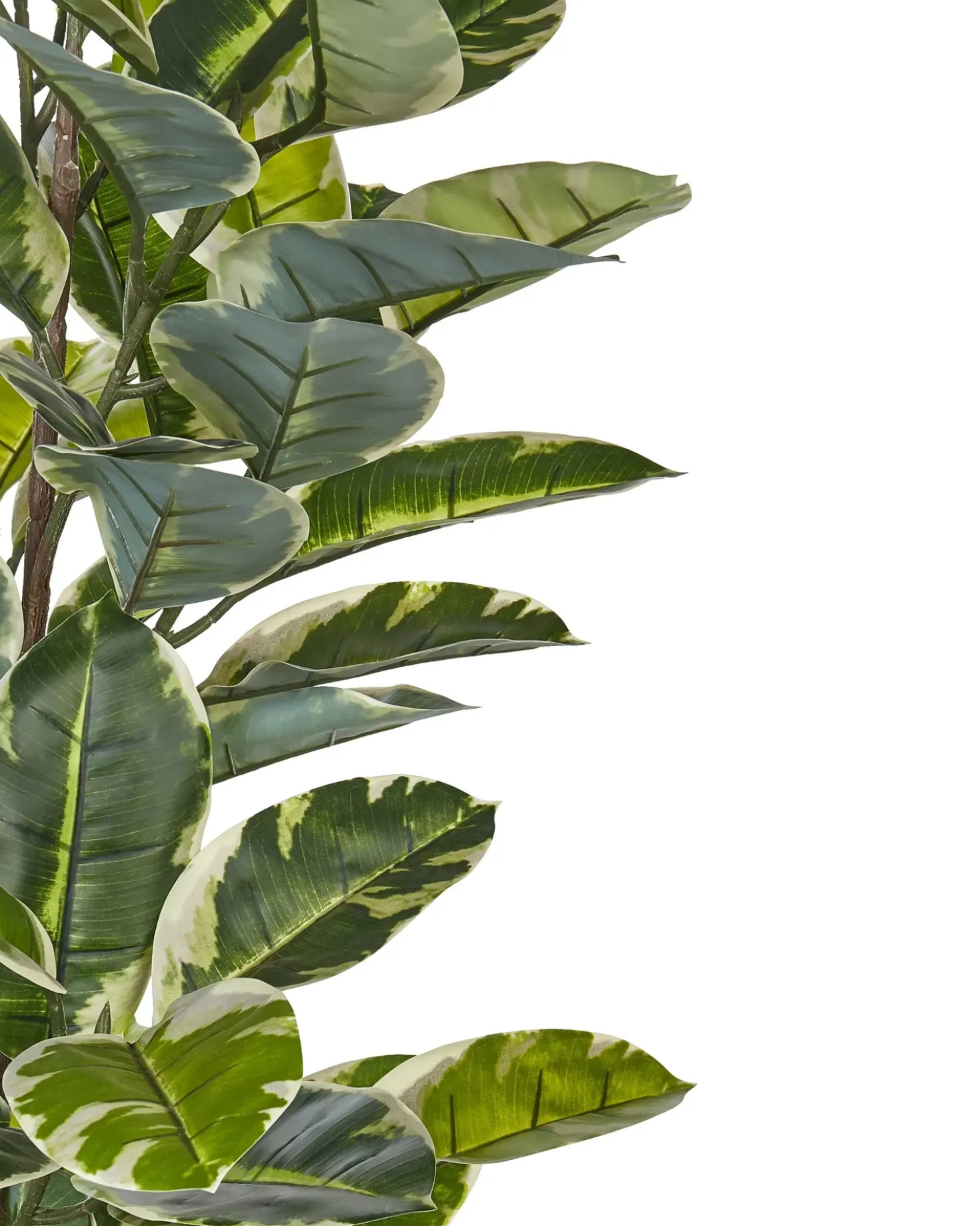Pianta artificiale FICUS ELASTICA 160 cm Verde