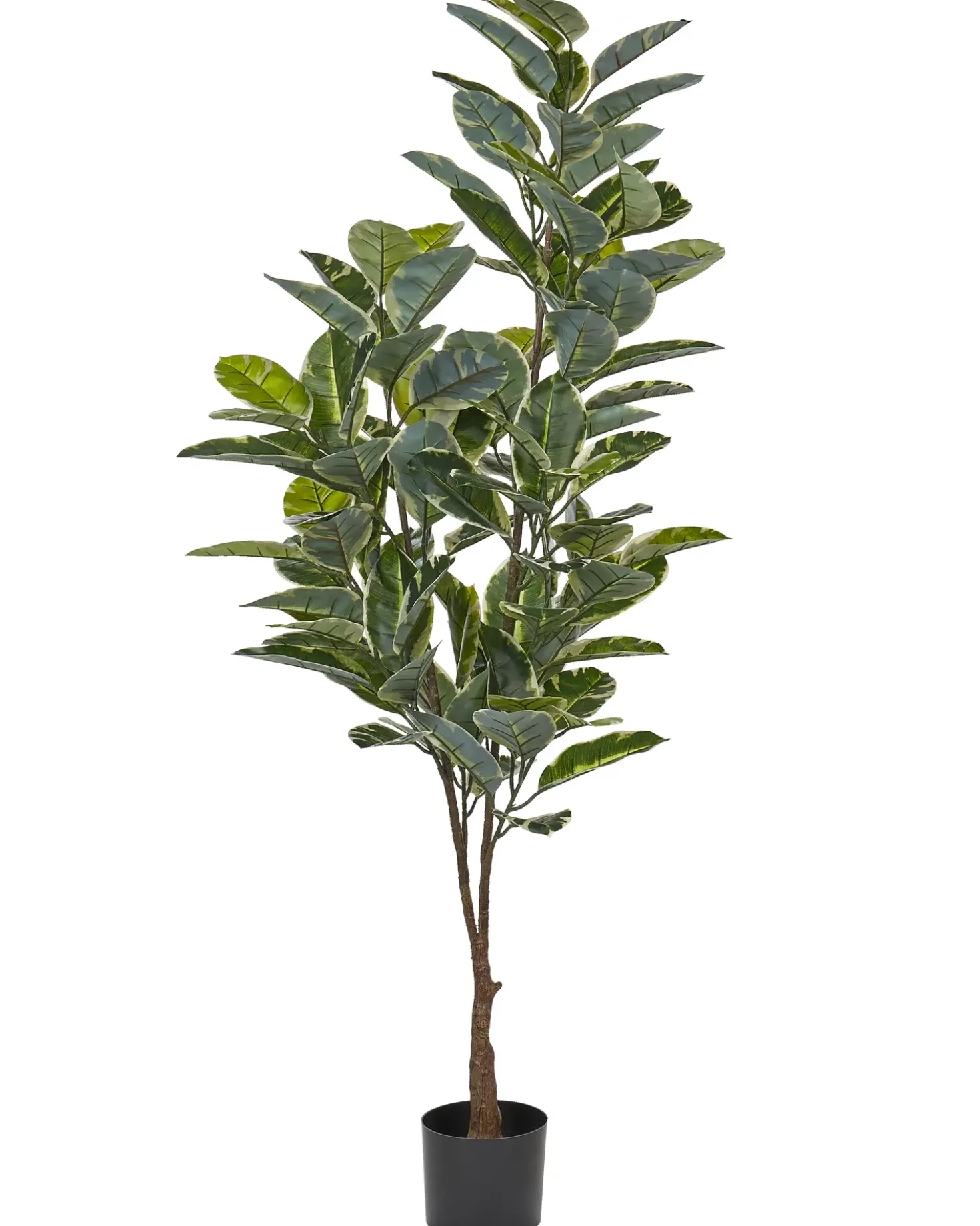 Pianta artificiale FICUS ELASTICA 160 cm Verde