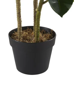 Pianta artificiale FICUS ELASTICA 134 cm Verde