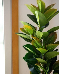 Pianta artificiale FICUS ELASTICA 134 cm Verde