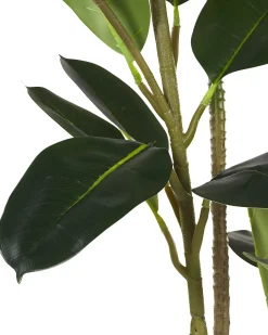 Pianta artificiale FICUS ELASTICA 134 cm Verde