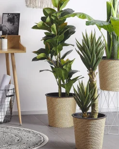 Pianta artificiale FICUS ELASTICA 134 cm Verde