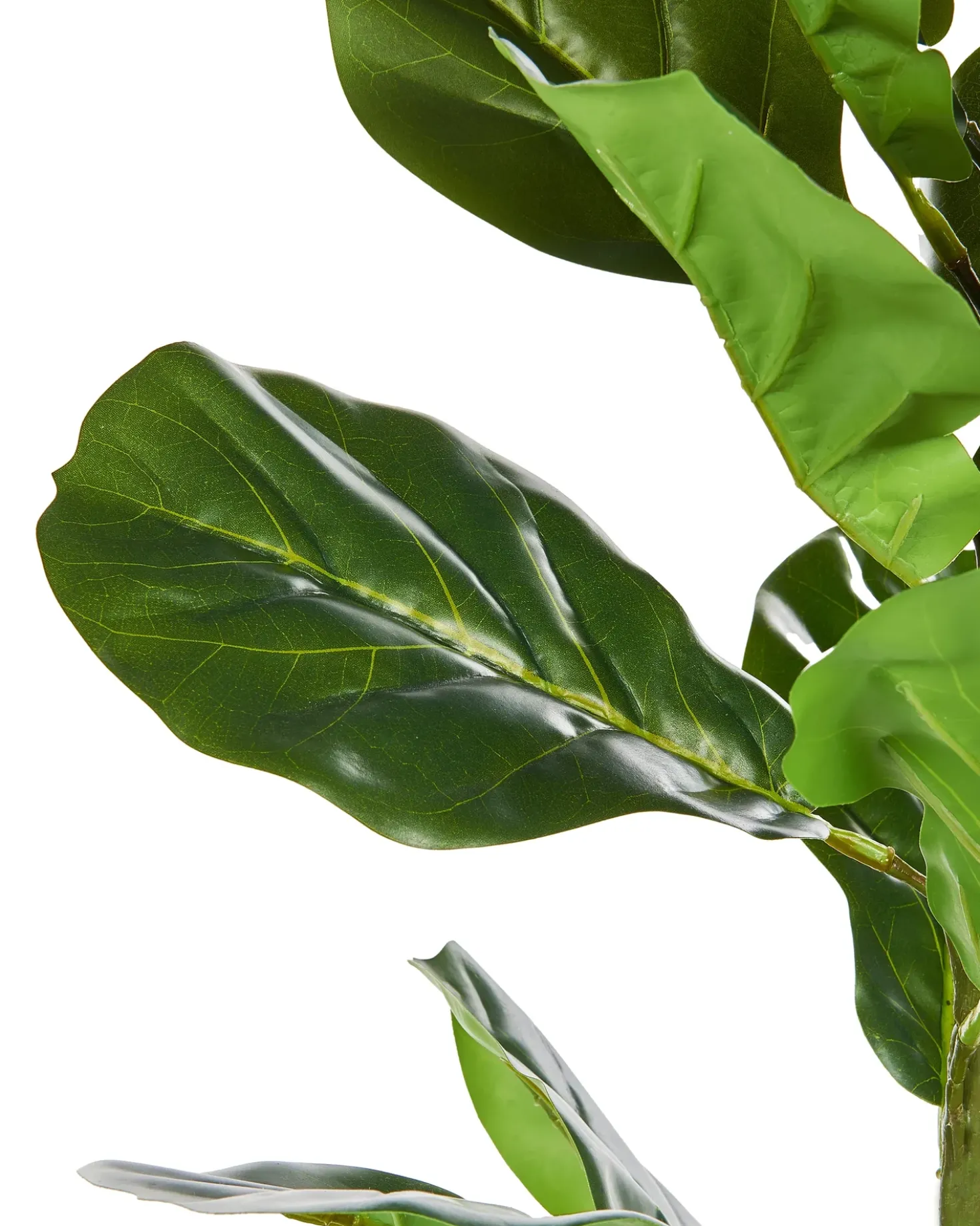 Pianta artificiale FIDDLE LEAF TREE 72 cm Verde