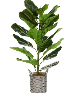 Pianta artificiale FIDDLE LEAF TREE 72 cm Verde