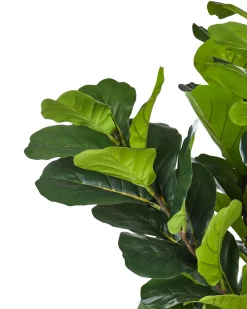 Pianta artificiale FIG TREE 162 cm Verde