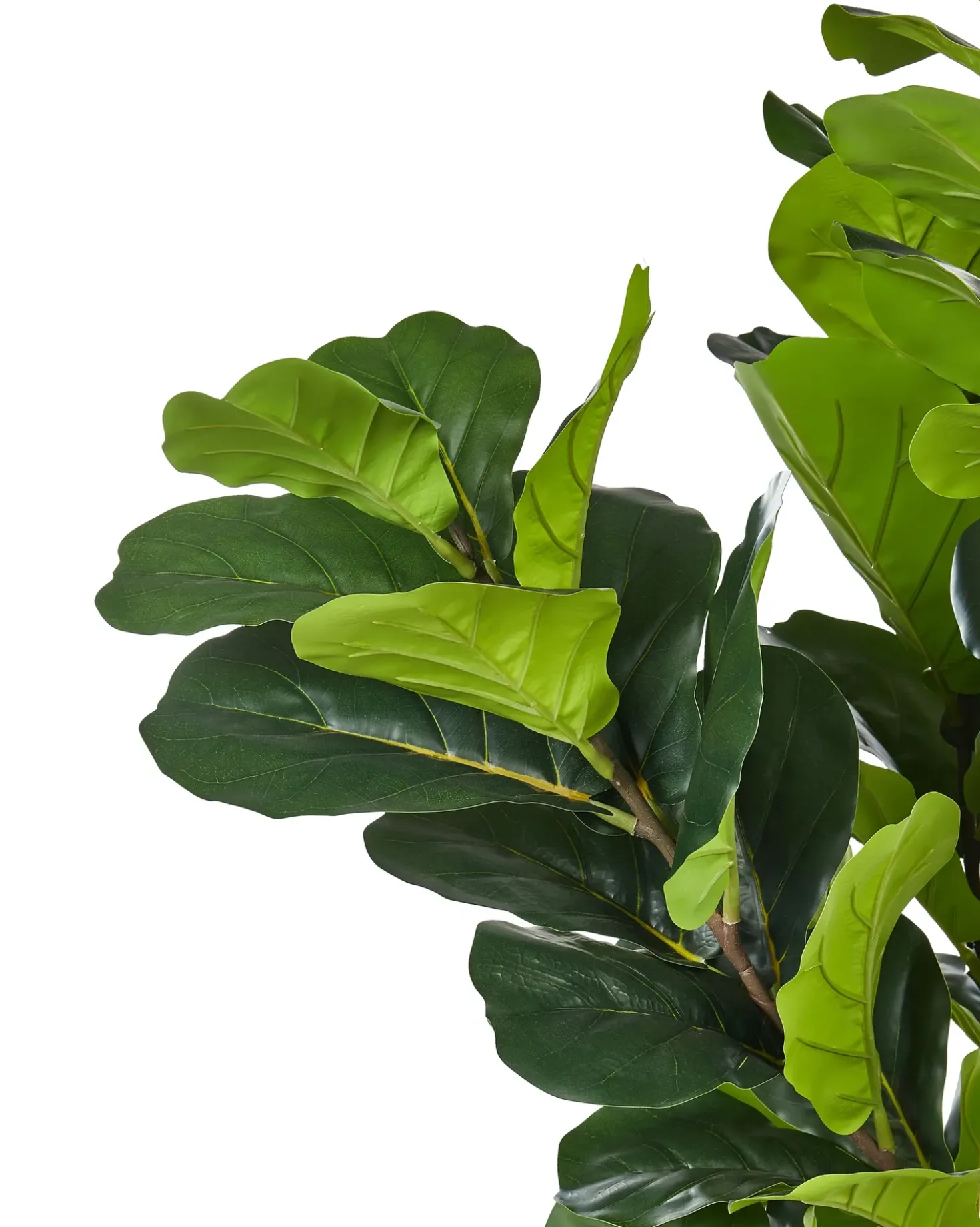 Pianta artificiale FIG TREE 162 cm Verde
