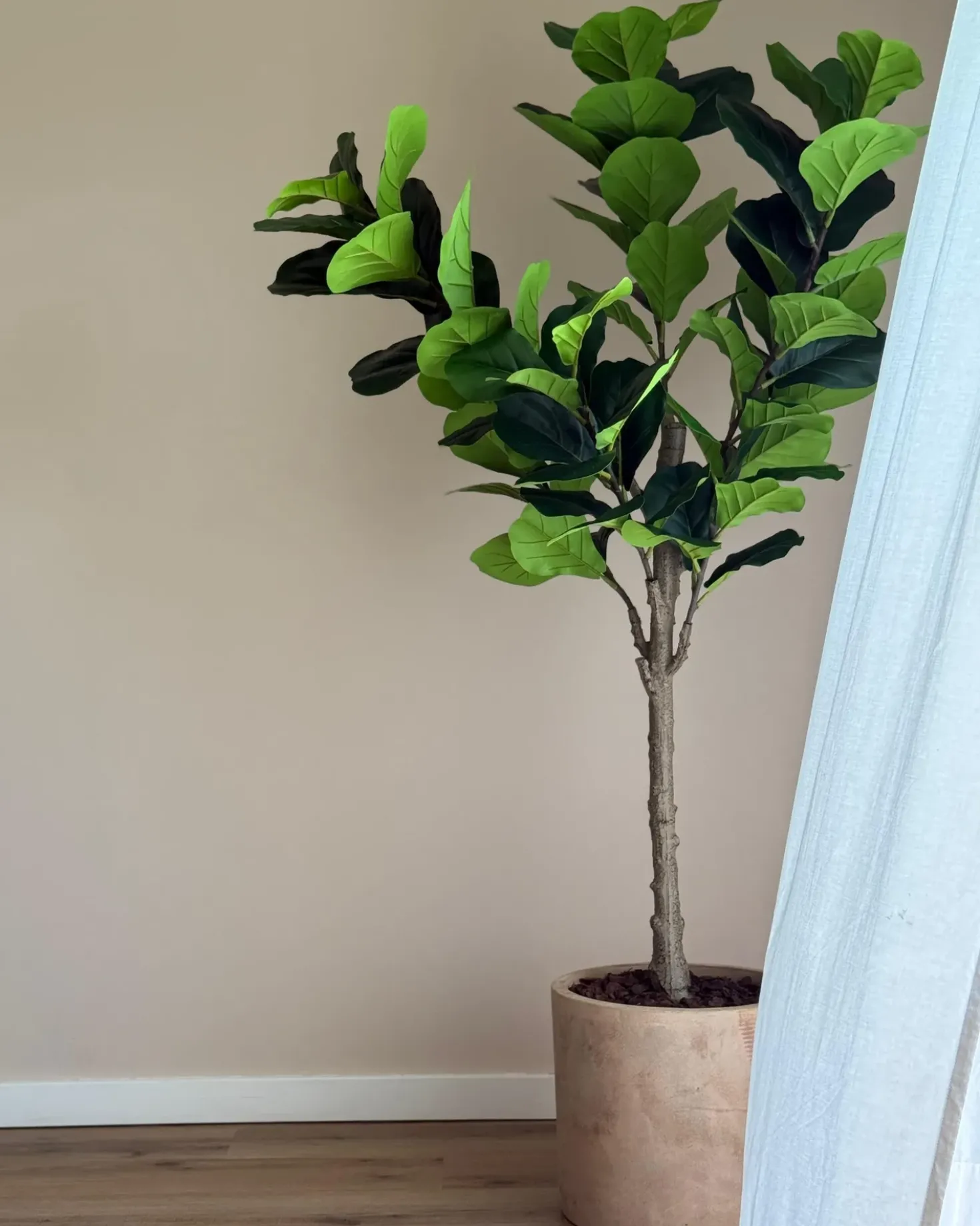 Pianta artificiale FIG TREE 162 cm Verde