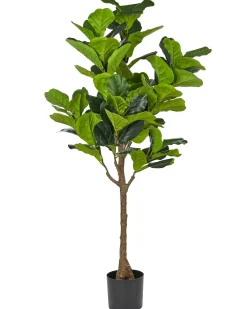Pianta artificiale FIG TREE 162 cm Verde