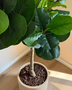 Pianta artificiale FIG TREE 162 cm Verde