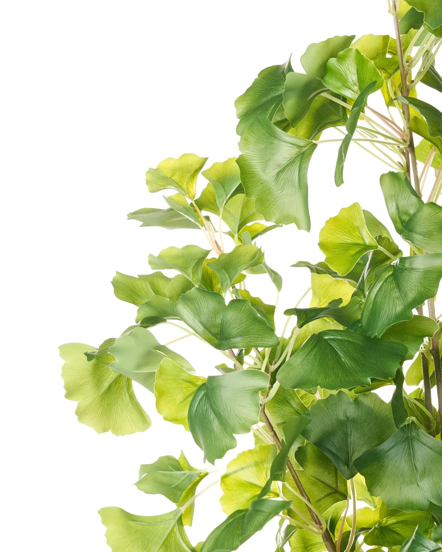 Pianta artificiale GINKGO TREE 150 cm Verde