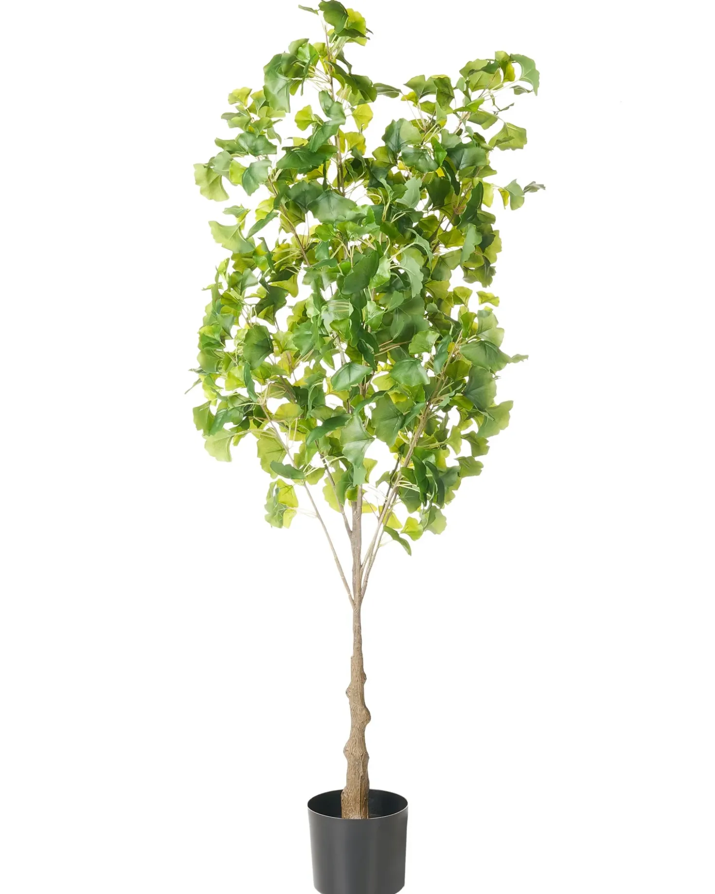 Pianta artificiale GINKGO TREE 150 cm Verde