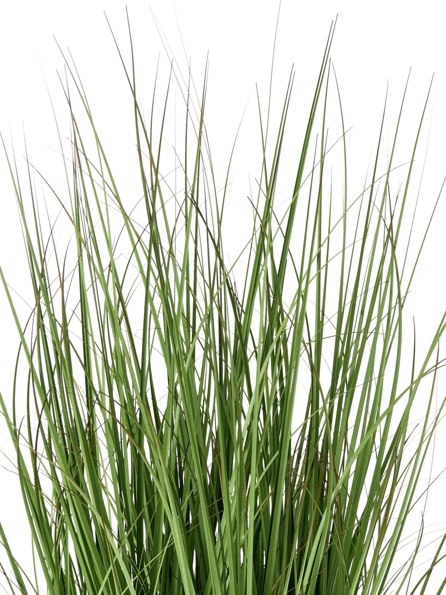 Pianta artificiale GRASS 120 cm Verde