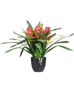Pianta artificiale GUZMANIA ATILLA 50 cm Verde