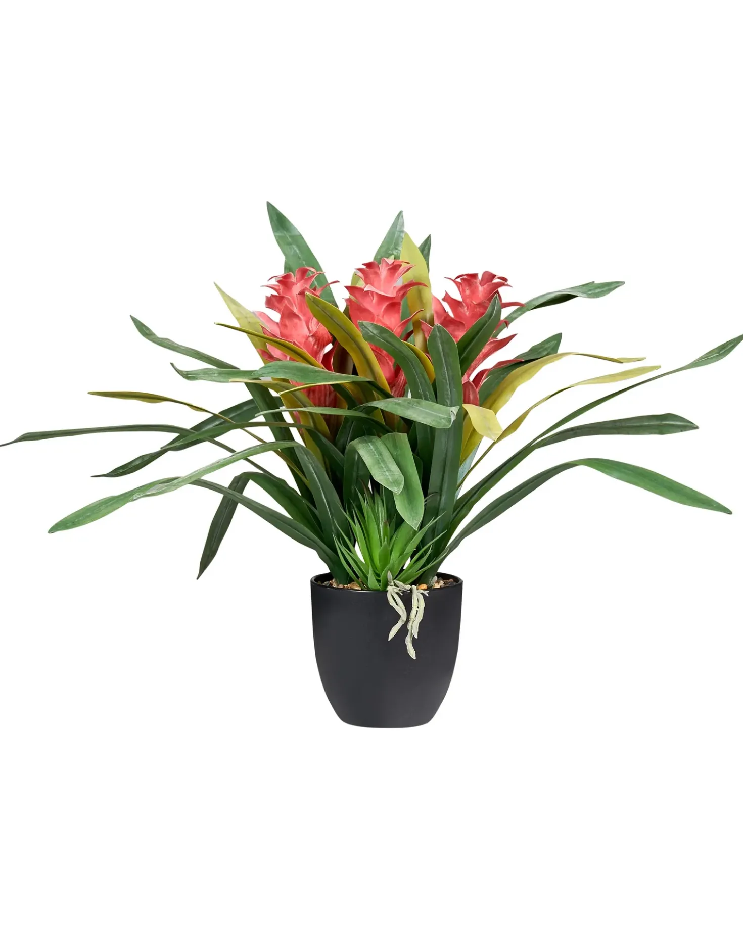 Pianta artificiale GUZMANIA ATILLA 50 cm Verde