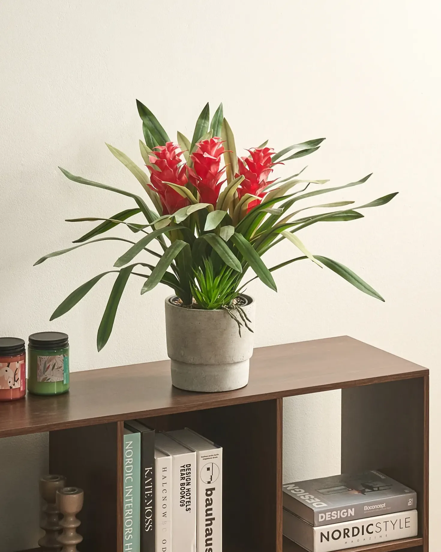 Pianta artificiale GUZMANIA ATILLA 50 cm Verde