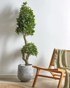 Pianta artificiale LAURELE 160 cm Verde