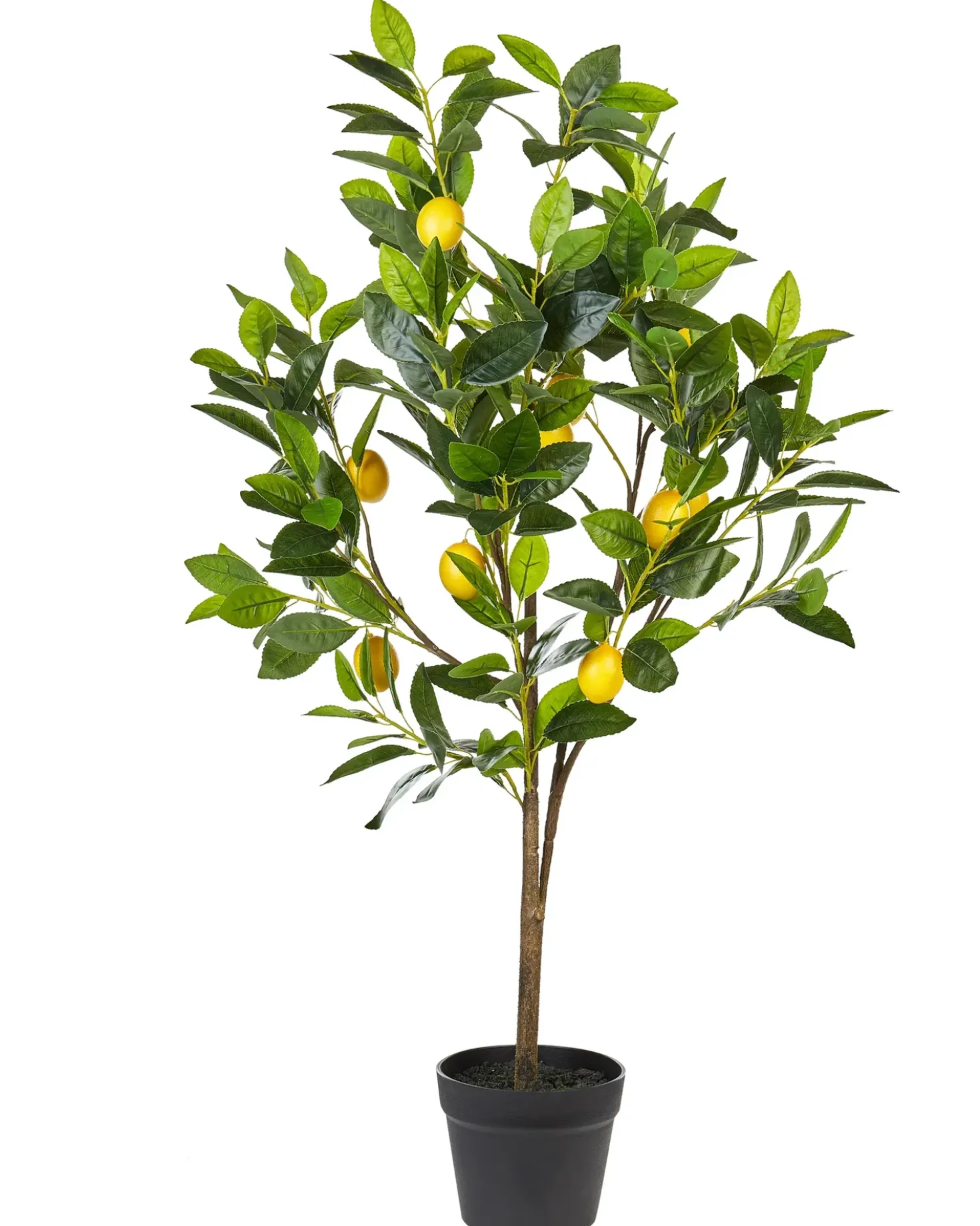 Pianta artificiale LEMON TREE 105 cm Verde