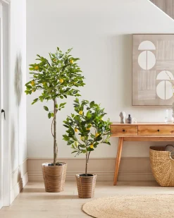 Pianta artificiale LEMON TREE 105 cm Verde