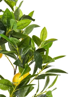 Pianta artificiale LEMON TREE 105 cm Verde