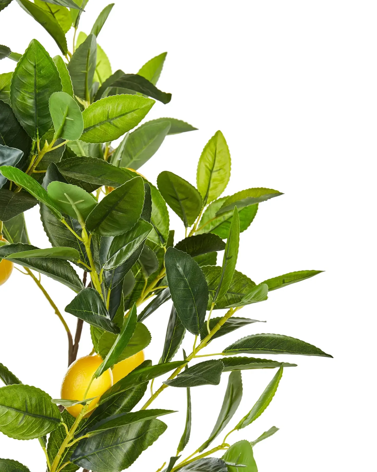 Pianta artificiale LEMON TREE 105 cm Verde