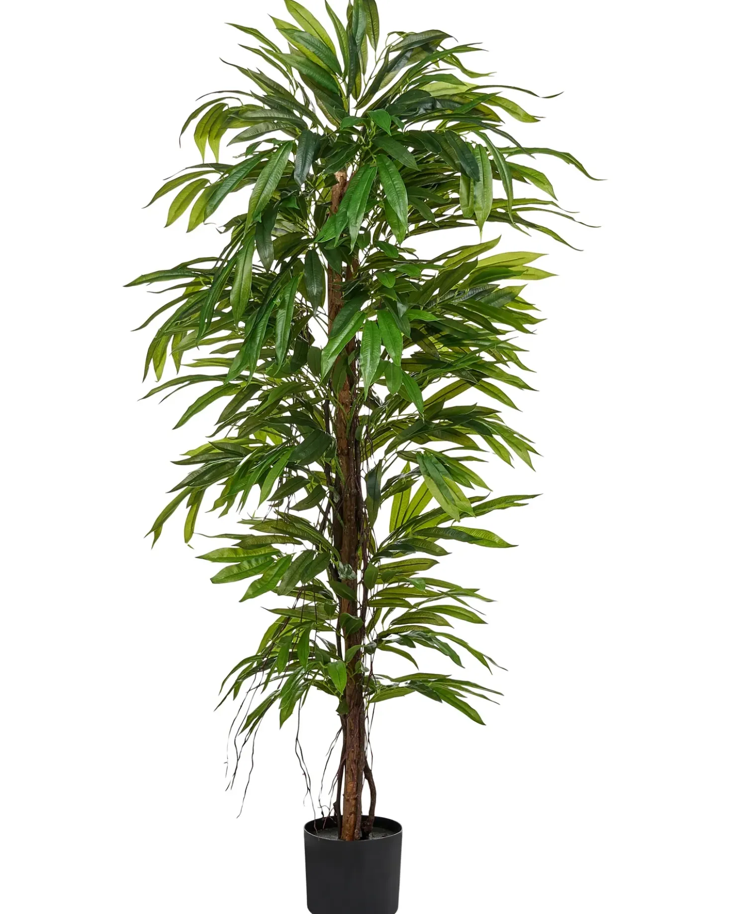 Pianta artificiale LONGIFOLIA 155 cm Verde