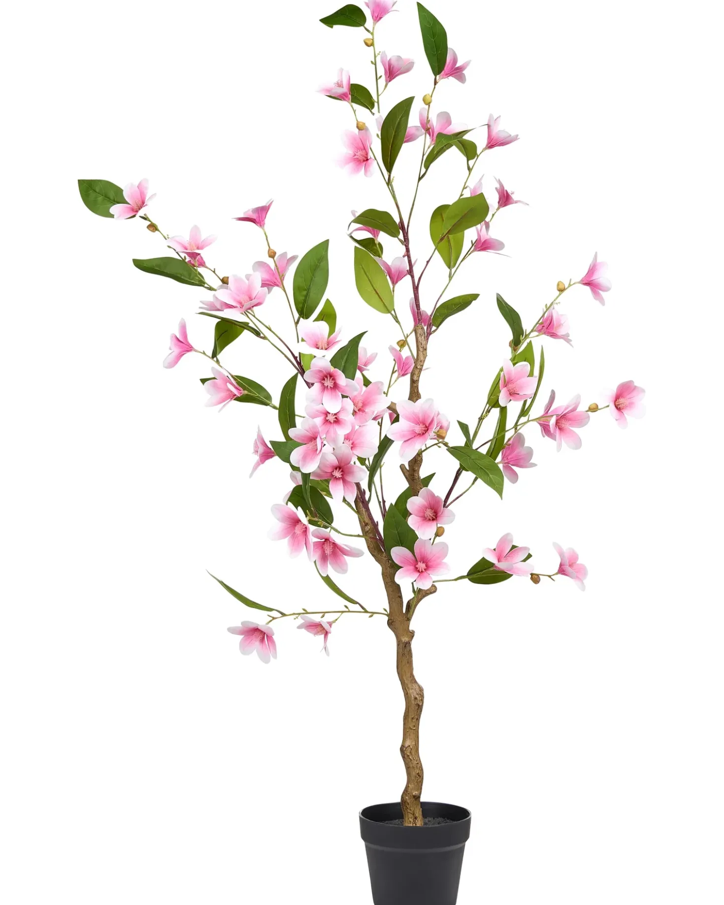 Pianta artificiale MAGNOLIA TREE 128 cm Verde