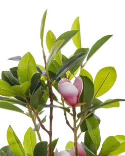 Pianta artificiale MAGNOLIA 70 cm Verde