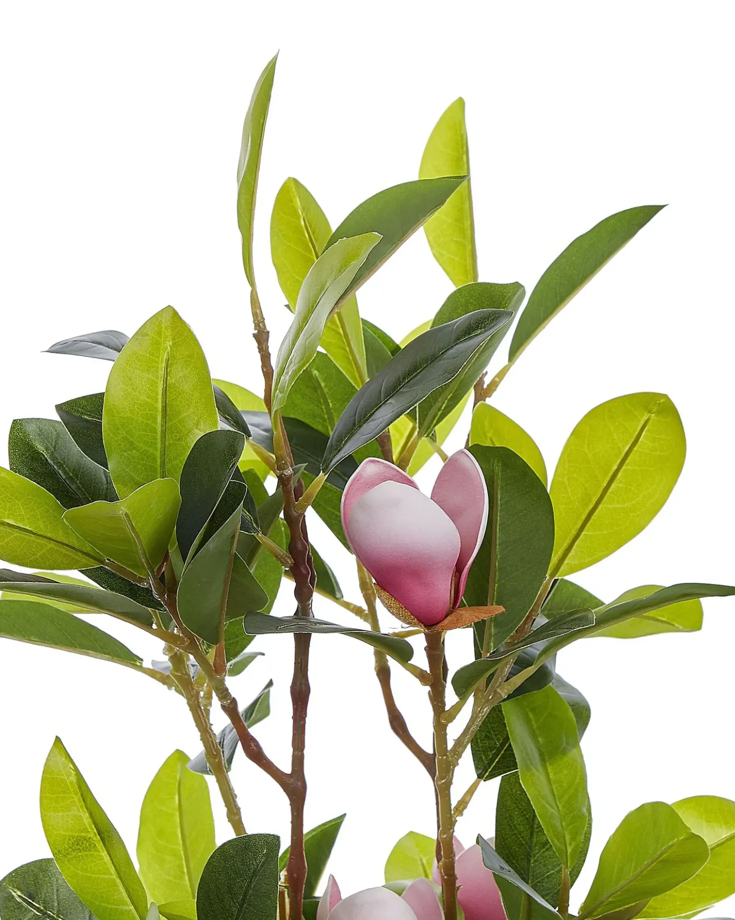 Pianta artificiale MAGNOLIA 70 cm Verde