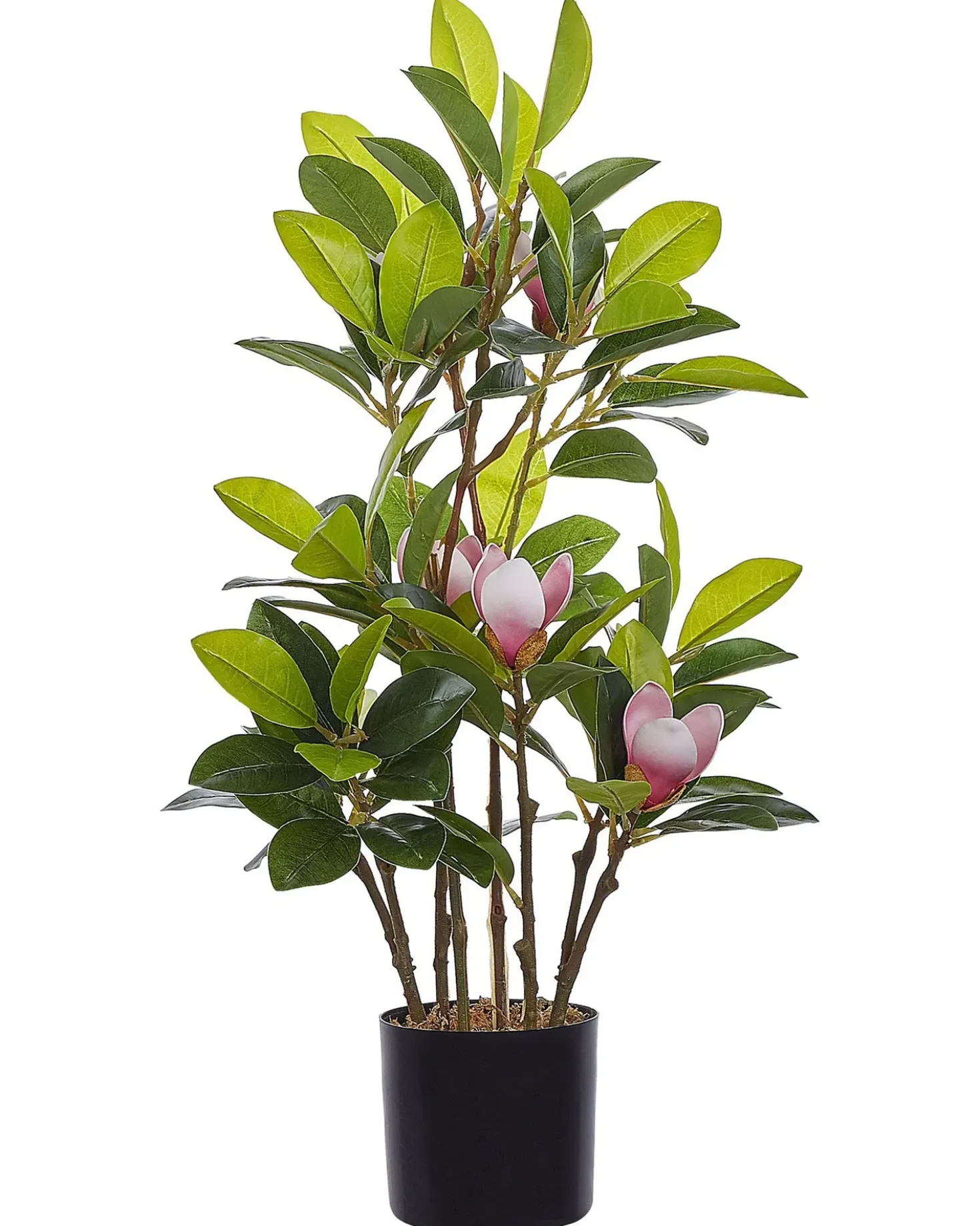 Pianta artificiale MAGNOLIA 70 cm Verde