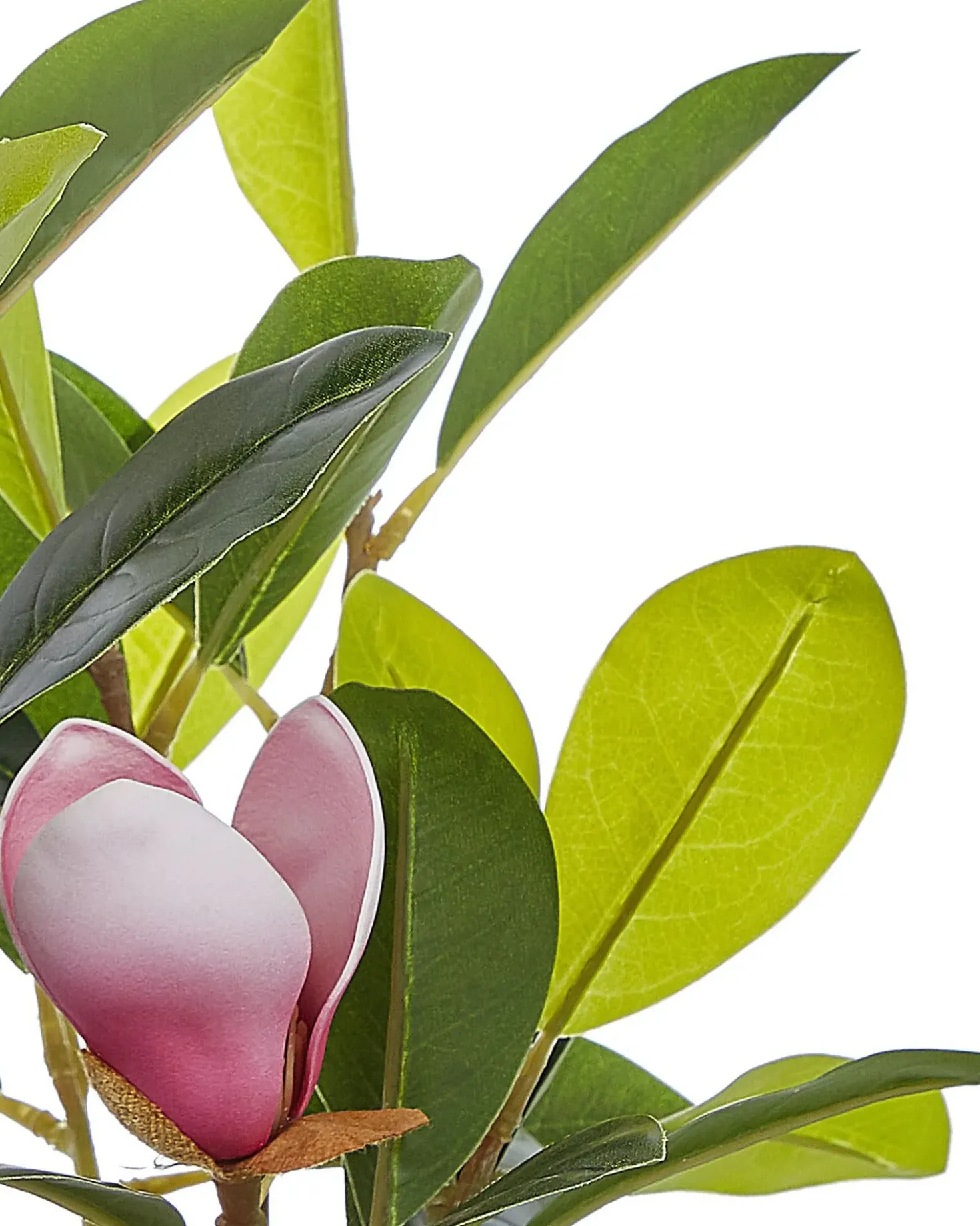 Pianta artificiale MAGNOLIA 70 cm Verde