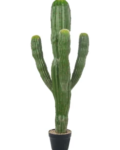 Pianta artificiale MAROCCO CEREUS 115 cm Verde