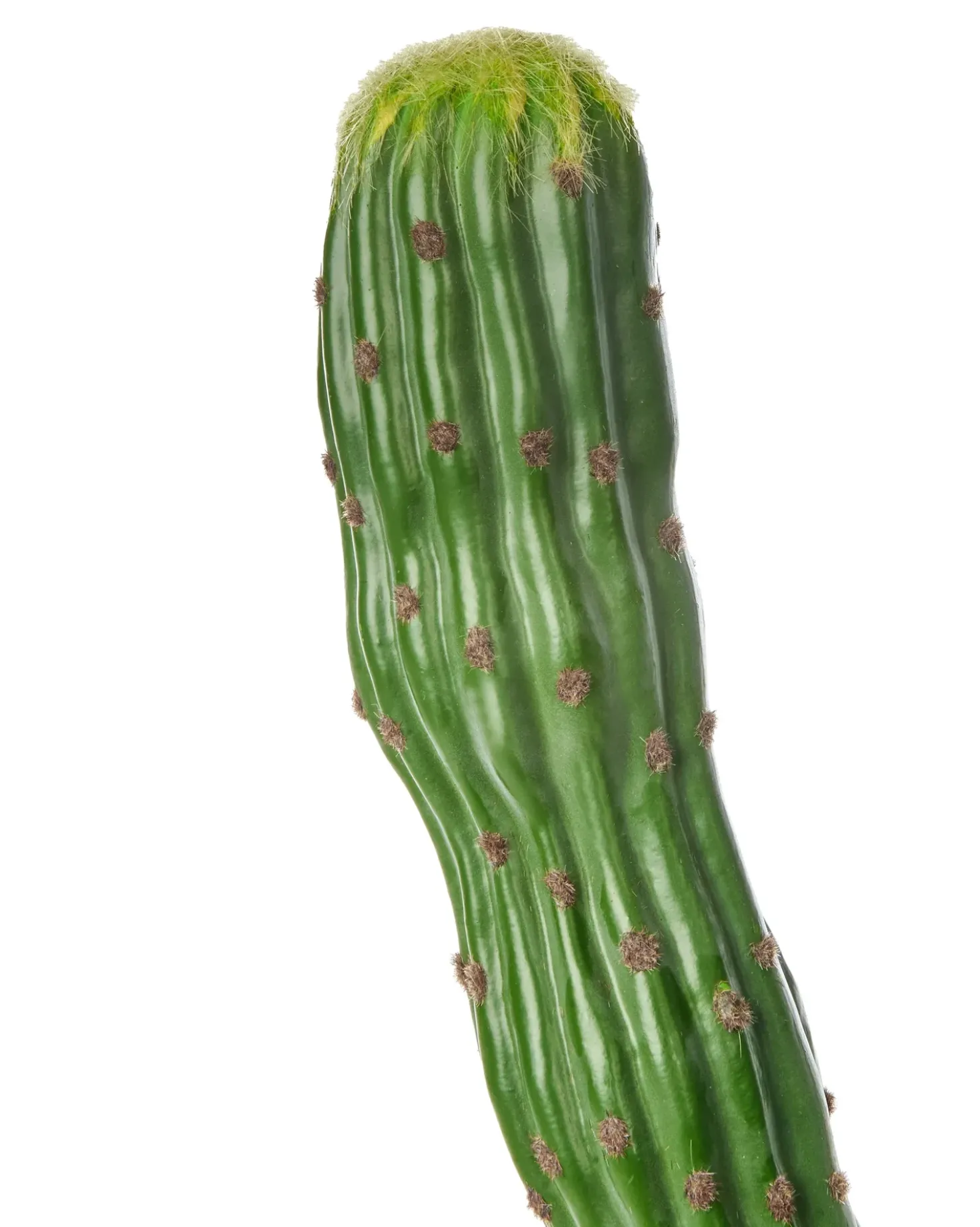 Pianta artificiale MAROCCO CEREUS 115 cm Verde