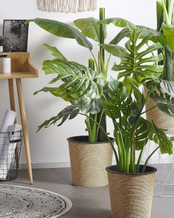 Pianta artificiale MONSTERA PLANT 113 cm Verde