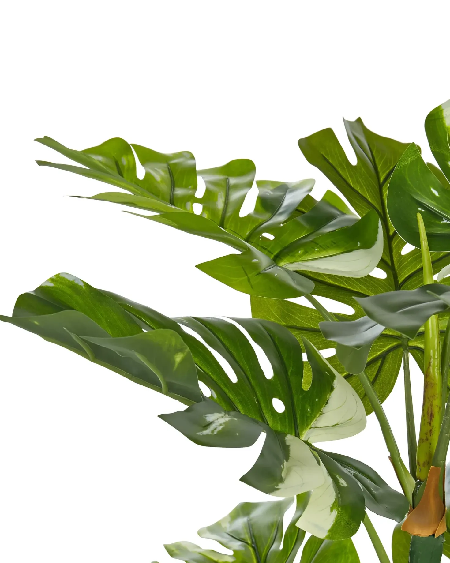 Pianta artificiale MONSTERA PLANT 135 cm Verde