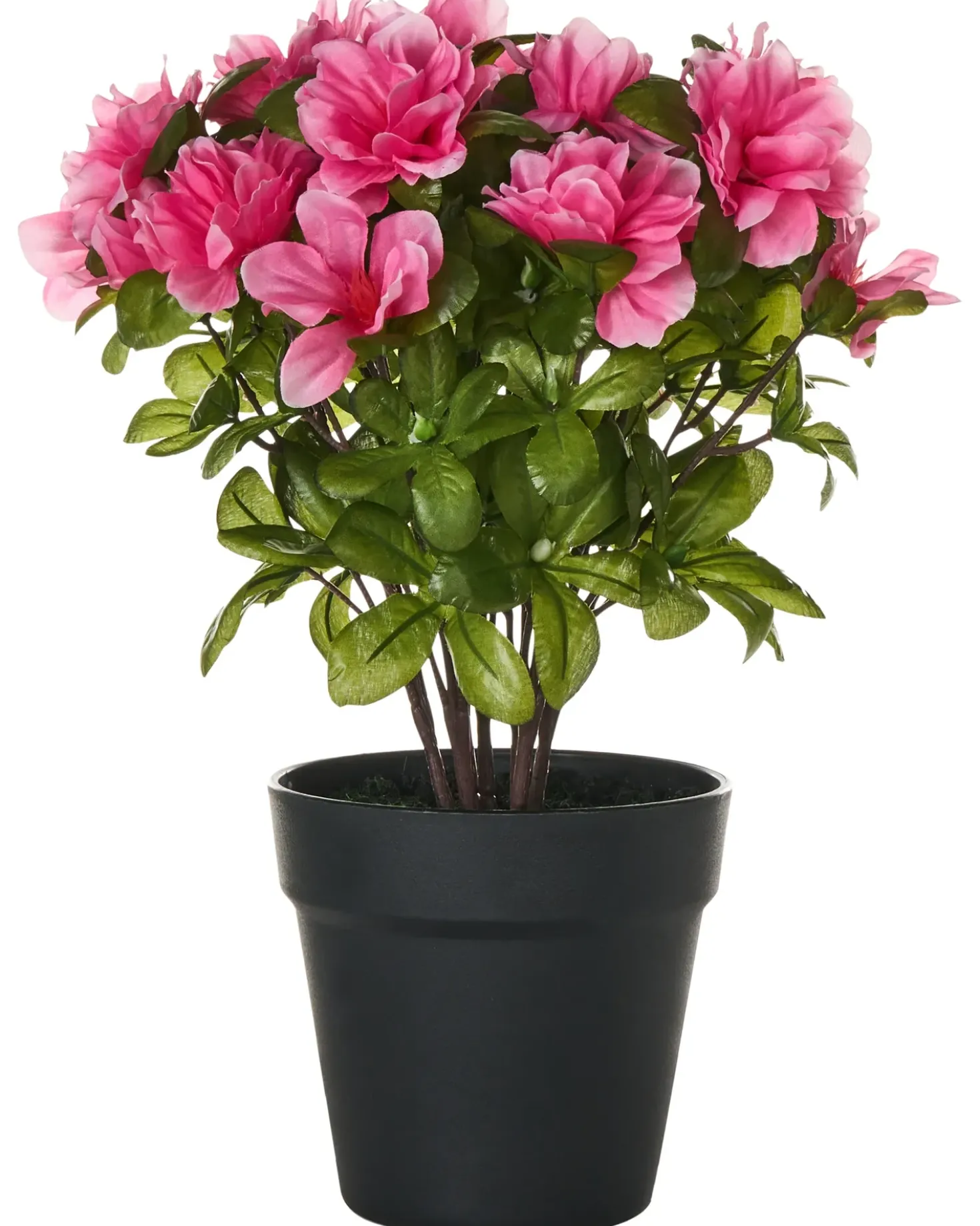 Pianta artificiale NOVELLA 36 cm Rosa