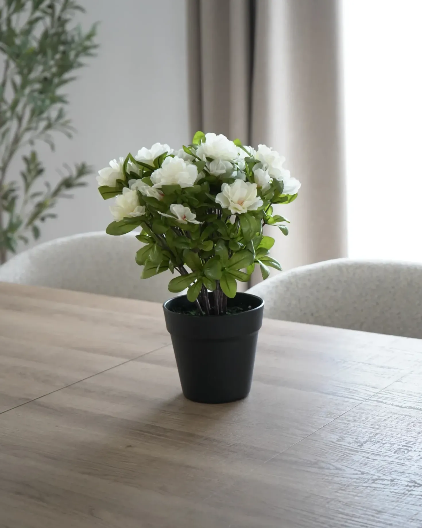 Pianta artificiale NOVELLA 36 cm Bianco