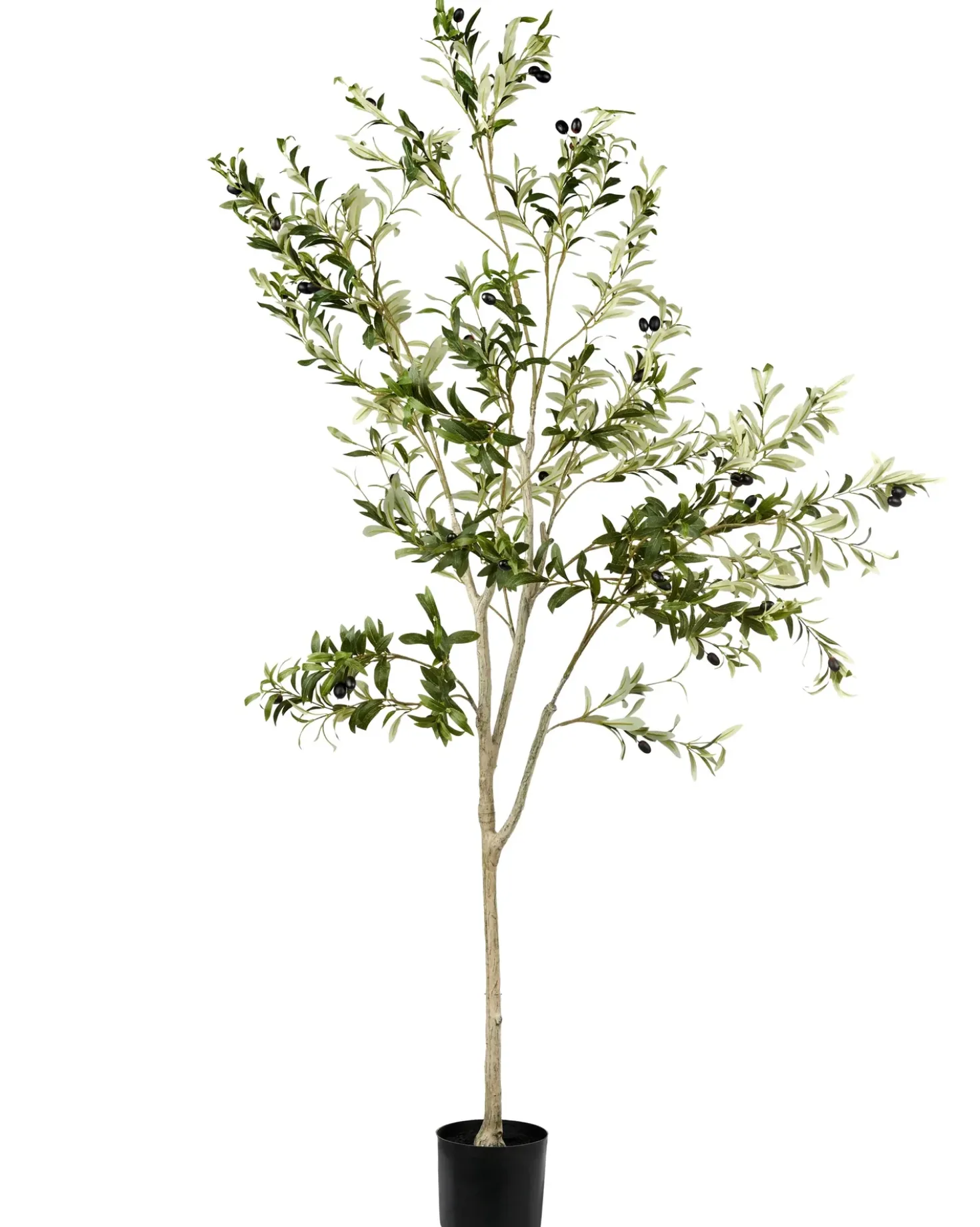 Pianta artificiale OLIVE TREE 178 cm Verde
