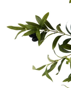 Pianta artificiale OLIVE TREE 178 cm Verde