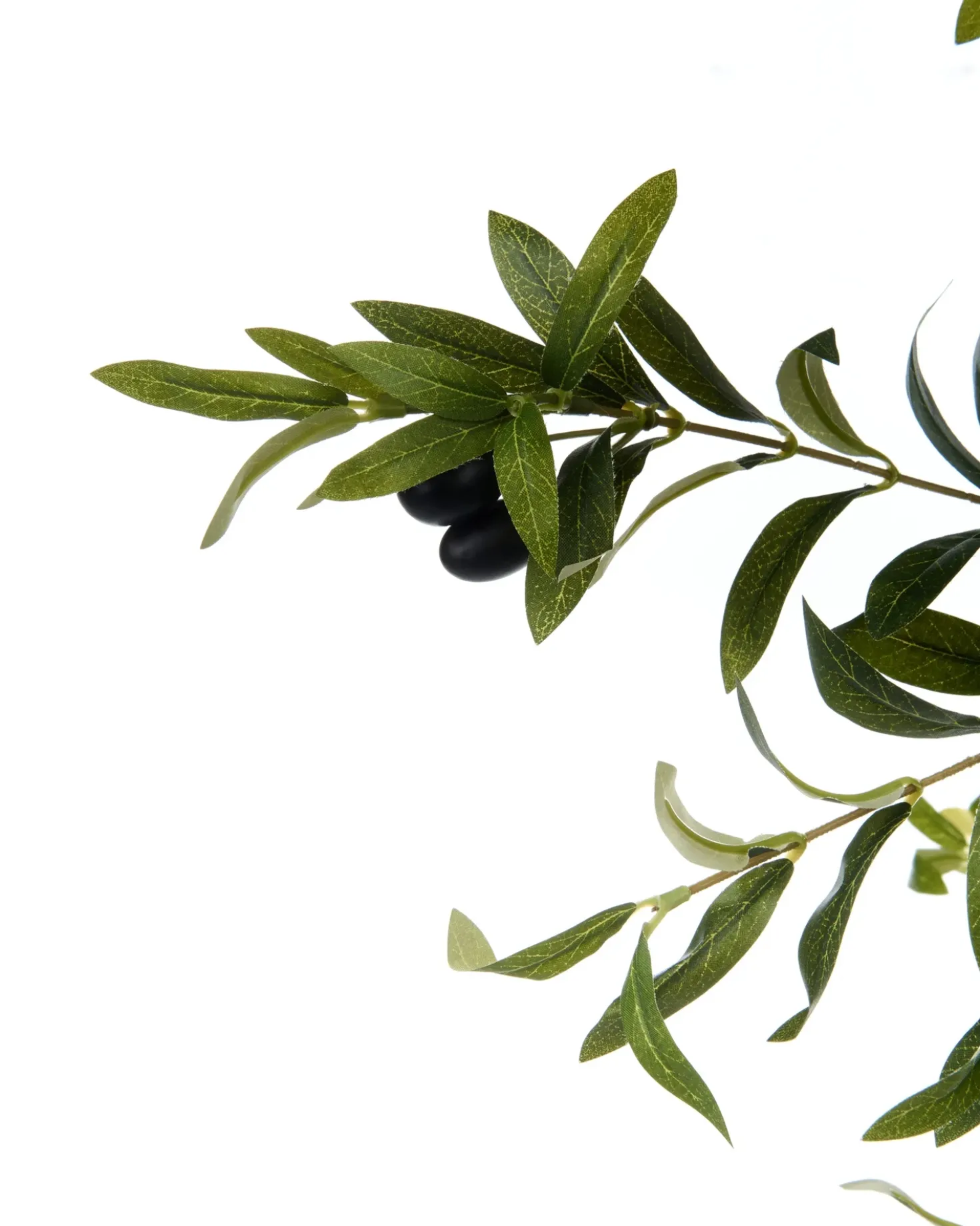 Pianta artificiale OLIVE TREE 178 cm Verde