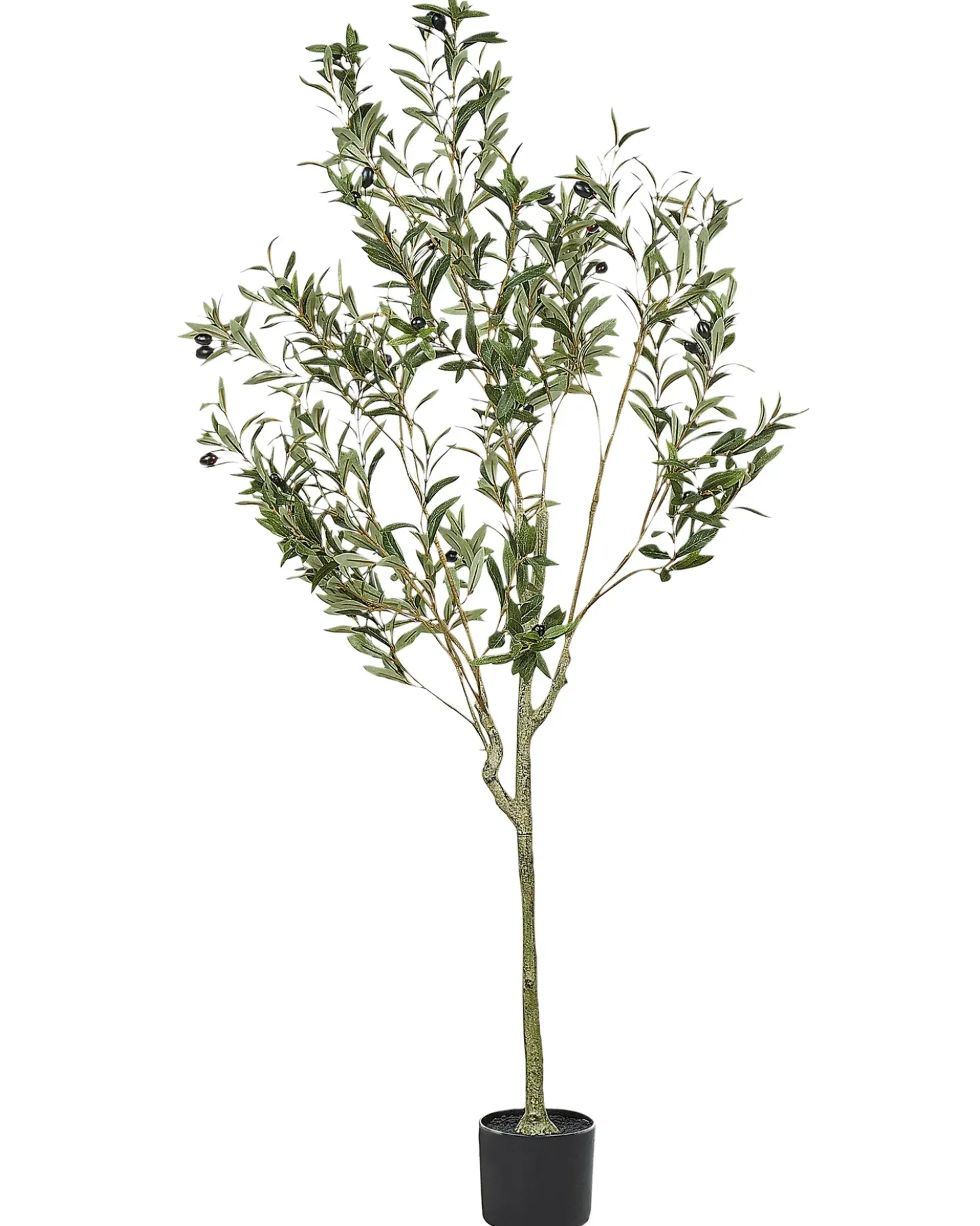 Pianta artificiale OLIVE TREE 153 cm Verde