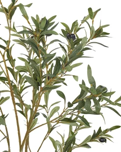 Pianta artificiale OLIVE TREE 153 cm Verde