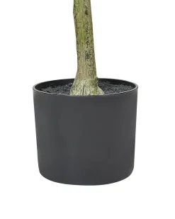 Pianta artificiale OLIVE TREE 153 cm Verde