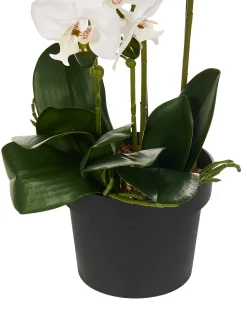 Pianta artificiale ORCHID 65 cm Bianco