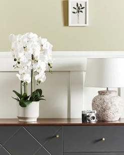 Pianta artificiale ORCHID 65 cm Bianco