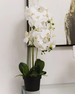 Pianta artificiale ORCHID 65 cm Bianco