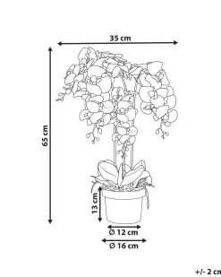 Pianta artificiale ORCHID 65 cm Bianco