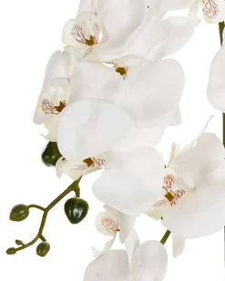 Pianta artificiale ORCHID 65 cm Bianco