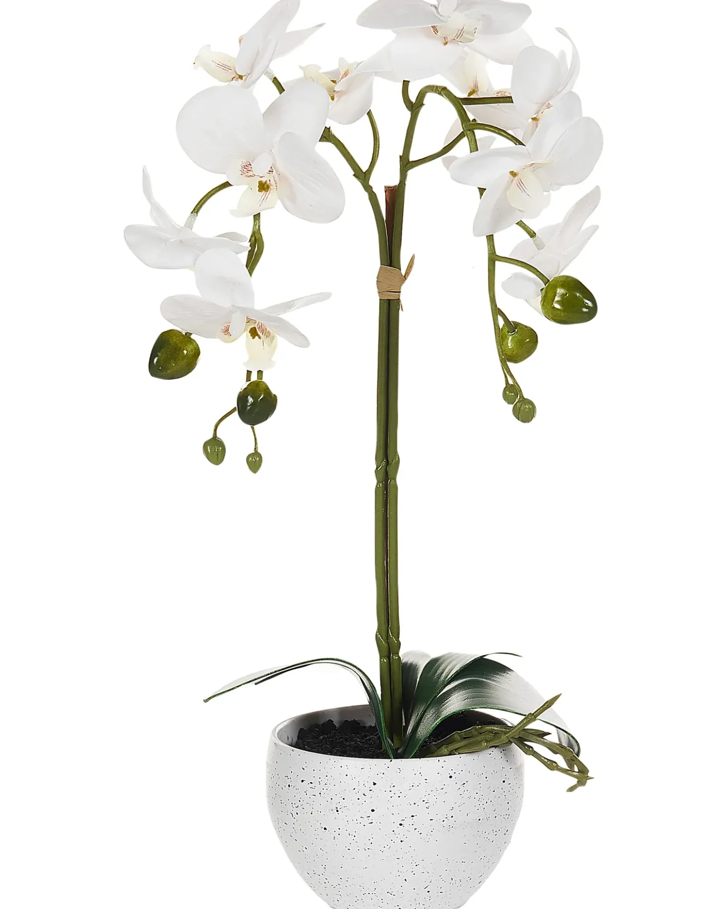 Pianta artificiale ORCHID 42 cm Bianco
